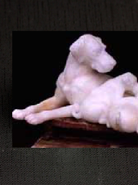 Marble Dog In Lohit