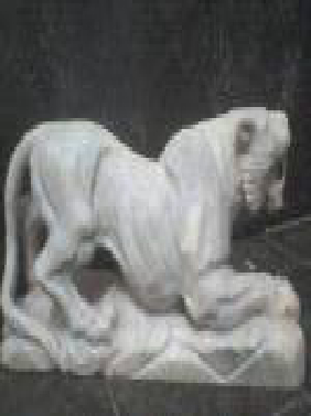 Marble Tiger Statue In Bijapur