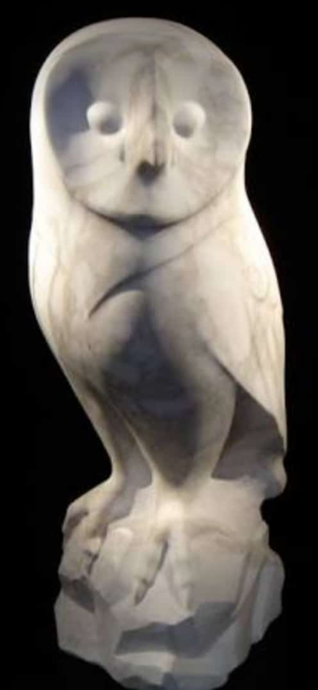 Marble Owl In Lohit